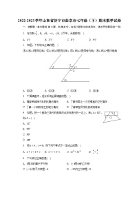 2022-2023学年山东省济宁市曲阜市七年级（下）期末数学试卷（含解析）