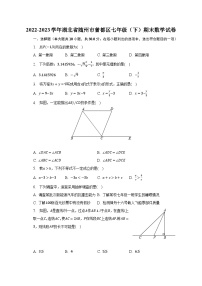 2022-2023学年湖北省随州市曾都区七年级（下）期末数学试卷（含解析）