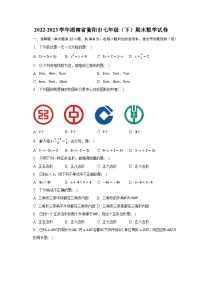 2022-2023学年湖南省衡阳市七年级（下）期末数学试卷（含解析）