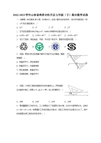 2022-2023学年山东省菏泽市牡丹区七年级（下）期末数学试卷（含解析）