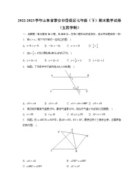 2022-2023学年山东省泰安市岱岳区七年级（下）期末数学试卷（五四学制）（含解析）