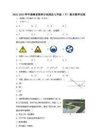 2022-2023学年湖南省株洲市炎陵县七年级（下）期末数学试卷（含解析）