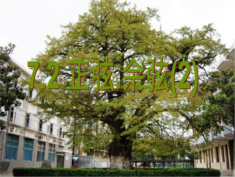 7.3特殊角的三角函数课件PPT01