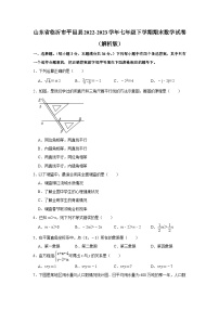 山东省临沂市平邑县2022-2023学年七年级下学期期末数学试卷