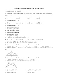 2020年苏科版八年级数学上册 期末复习卷一（含答案）
