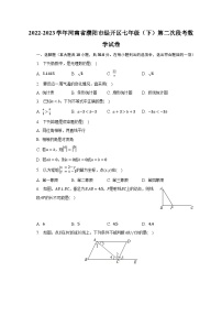 2022-2023学年河南省濮阳市经开区七年级（下）第二次段考数学试卷（含解析）