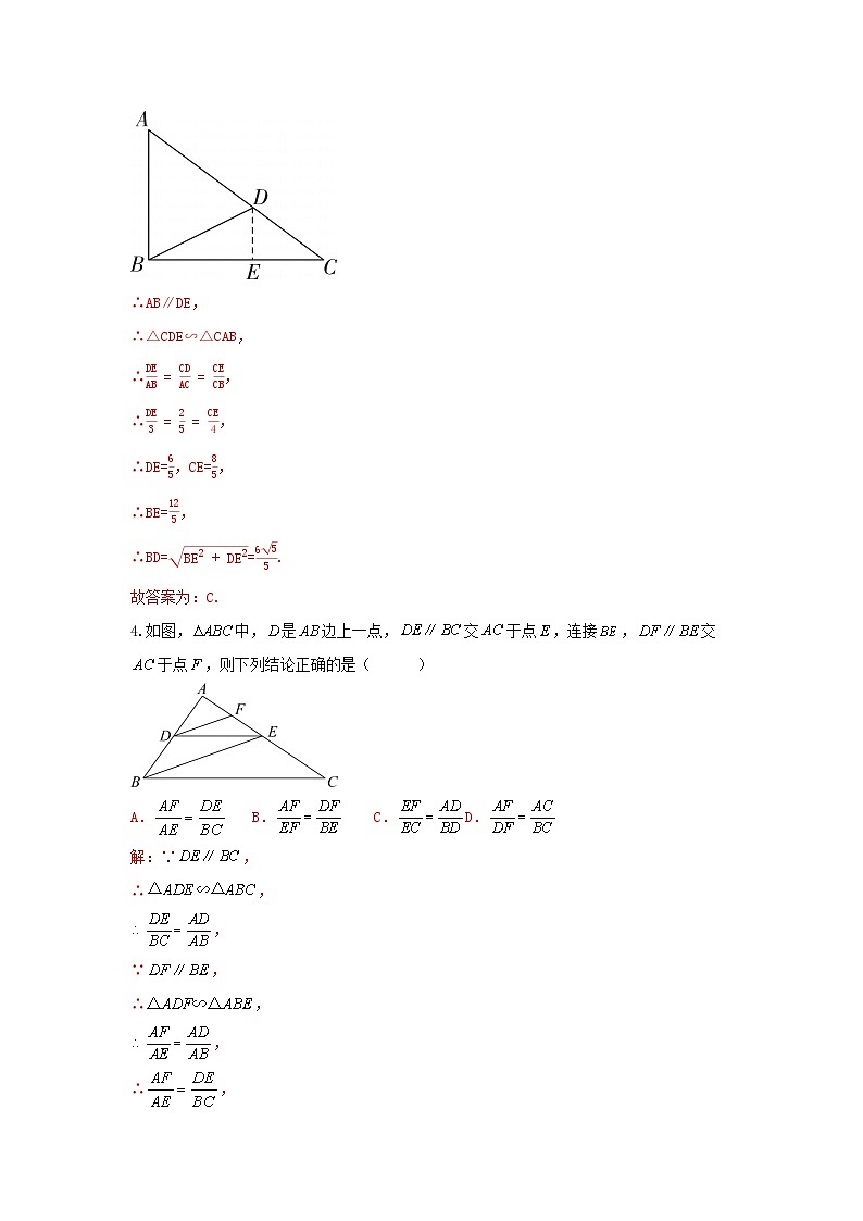 北师大版数学 九上 第四章 相似三角形 单元测试卷 A卷02