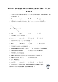 2022-2023学年福建省福州市平潭综合实验区七年级（下）期末数学试卷（含解析）