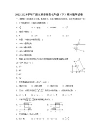 2022-2023学年广西玉林市容县七年级（下）期末数学试卷（含解析）