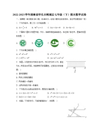 2022-2023学年湖南省怀化市鹤城区七年级（下）期末数学试卷（含解析）