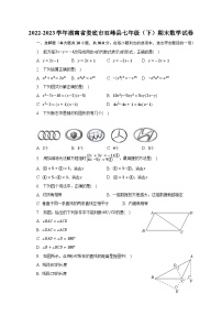 2022-2023学年湖南省娄底市双峰县七年级（下）期末数学试卷（含解析）