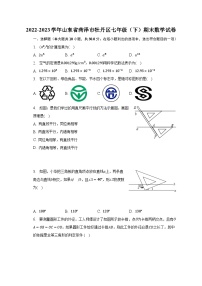 2022-2023学年山东省菏泽市牡丹区七年级（下）期末数学试卷（含解析）