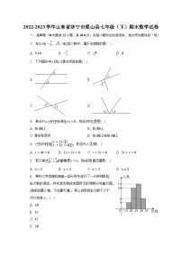 2022-2023学年山东省济宁市梁山县七年级（下）期末数学试卷（含解析）