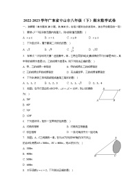 2022-2023学年广东省中山市八年级（下）期末数学试卷（含解析）