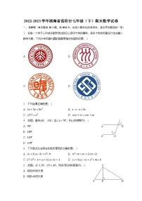 2022-2023学年湖南省岳阳市七年级（下）期末数学试卷（含解析）