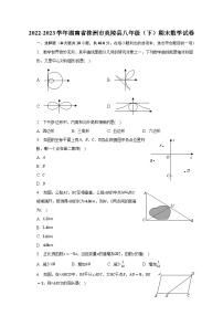 2022-2023学年湖南省株洲市炎陵县八年级（下）期末数学试卷（含解析）