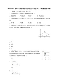 2022-2023学年江西省新余市分宜县八年级（下）期末数学试卷（含解析）