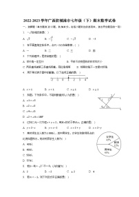 2022-2023学年广西防城港市七年级（下）期末数学试卷（含解析）