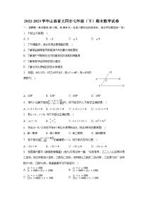 2022-2023学年山西省大同市七年级（下）期末数学试卷（含解析）