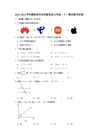 2022-2023学年湖南省怀化市新晃县七年级（下）期末数学试卷（含解析）