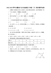 2022-2023学年安徽省六安市金寨县八年级（下）期末数学试卷（含解析）