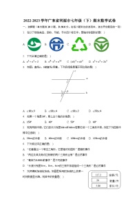 2022-2023学年广东省河源市七年级（下）期末数学试卷（含解析）