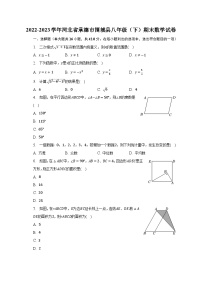 2022-2023学年河北省承德市围城县八年级（下）期末数学试卷（含解析）