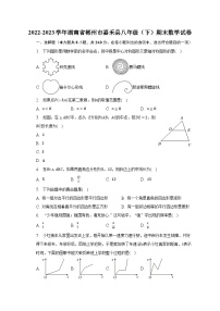 2022-2023学年湖南省郴州市嘉禾县八年级（下）期末数学试卷（含解析）