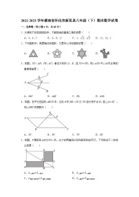 湖南省怀化市新晃县2022-2023学年八年级下学期期末数学试卷（含答案）