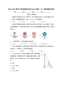 2022-2023学年广东省深圳市坪山区七年级（下）期末数学试卷（含解析）