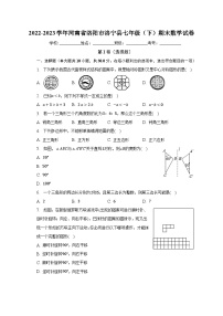 2022-2023学年河南省洛阳市洛宁县七年级（下）期末数学试卷（含解析）