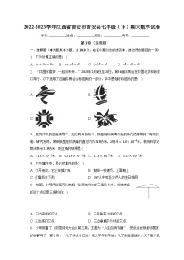 2022-2023学年江西省吉安市吉安县七年级（下）期末数学试卷（含解析）