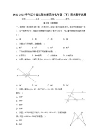 2022-2023学年辽宁省沈阳市新民市七年级（下）期末数学试卷（含解析）