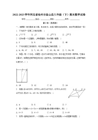 2022-2023学年河北省沧州市盐山县八年级（下）期末数学试卷（含解析）