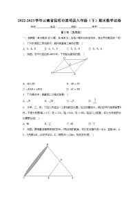 2022-2023学年云南省昆明市嵩明县八年级（下）期末数学试卷（含解析）