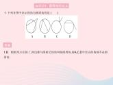 2023九年級數(shù)學(xué)上冊第28章圓28.3圓心角和圓周角課時(shí)2圓周角上課課件新版冀教版