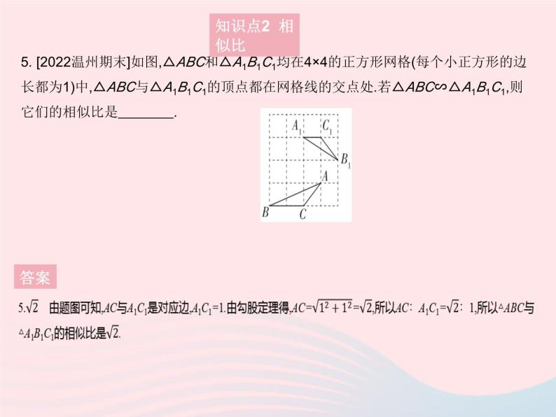 2023九年级数学上册第23章图形的相似23.3相似三角形课时1相似三角形作业课件新版华东师大版07