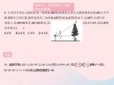 2023九年级数学上册第24章解直角三角形24.1测量作业课件新版华东师大版