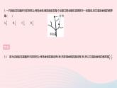 2023九年級數(shù)學(xué)上冊第25章隨機(jī)事件的概率全章綜合檢測作業(yè)課件新版華東師大版