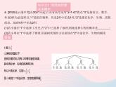 2023九年级数学上册第25章随机事件的概率25.2随机事件的概率课时3列举所有等可能的结果作业课件新版华东师大版