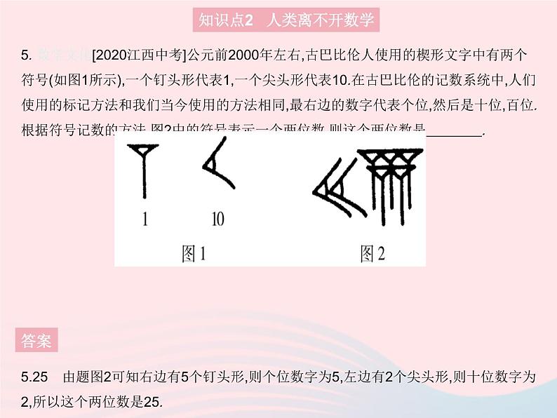 2023七年级数学上册第1章走进数学世界教学课件新版华东师大版07