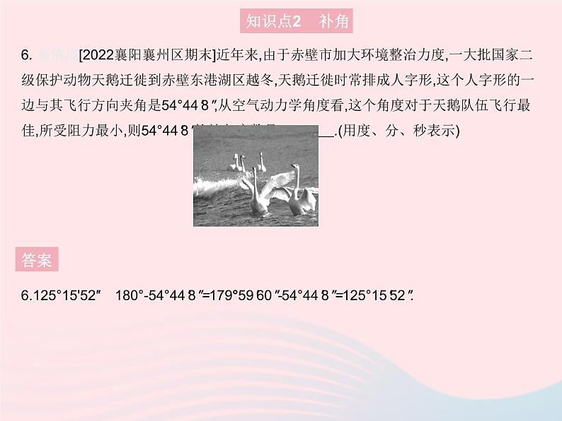 2023七年级数学上册第4章图形的初步认识4.6角课时3余角和补角教学课件新版华东师大版第8页