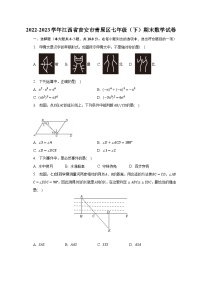 2022-2023学年江西省吉安市青原区七年级（下）期末数学试卷（含解析）