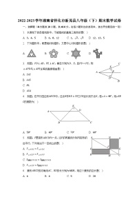 2022-2023学年湖南省怀化市新晃县八年级（下）期末数学试卷（含解析）