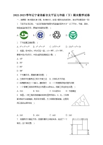 2022-2023学年辽宁省阜新市太平区七年级（下）期末数学试卷（含解析）