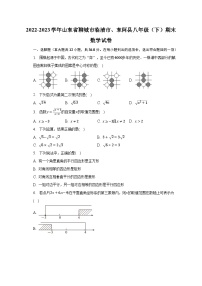 2022-2023学年山东省聊城市临清市、东阿县八年级（下）期末数学试卷（含解析）