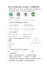 2022-2023学年四川省巴中市七年级（下）期末数学试卷（含解析）