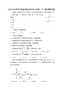 2022-2023学年江西省宜春市高安市七年级（下）期末数学试卷（含解析）