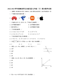 2022-2023学年湖南省怀化市新晃县七年级（下）期末数学试卷（含解析）