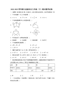 2022-2023学年浙江省嘉兴市八年级（下）期末数学试卷（含解析）